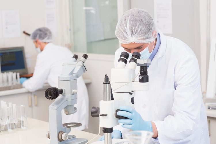 Scientists working attentively with microscopes in laboratory.jpeg