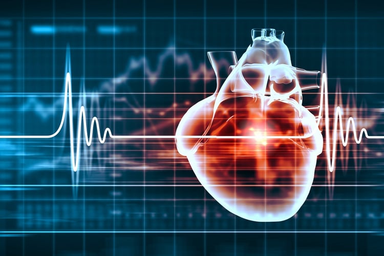 Virtual image of human heart with cardiogram.jpeg